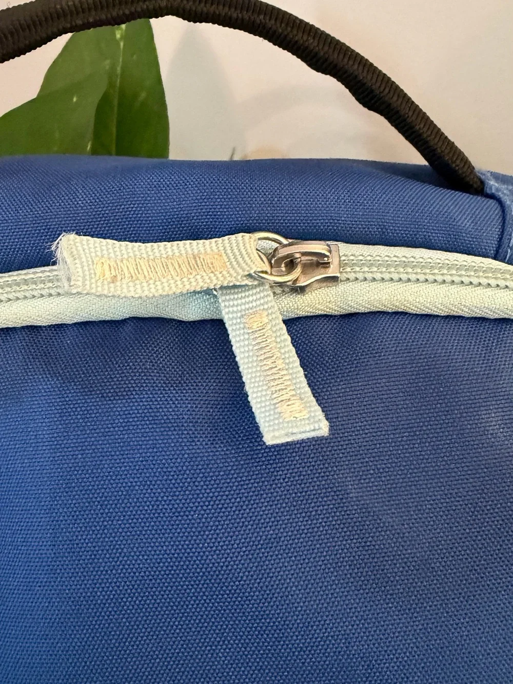 SCOUT pink and blue backpack. Lots of compartments.